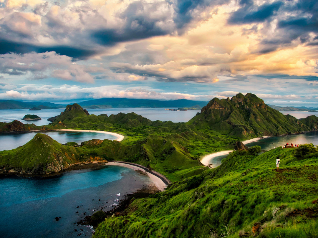 Ocean Calling Retreats
