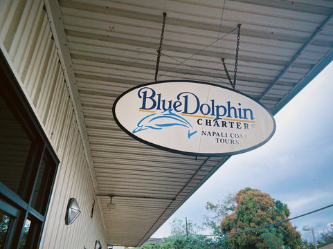 Blue Dolphin Charters-埃里埃利必去景点