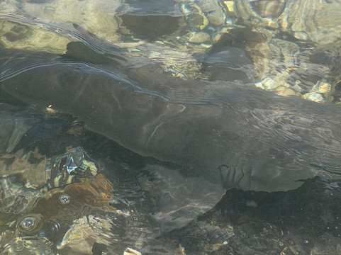 Explore Cape Verde-圣塔玛丽亚必去景点
