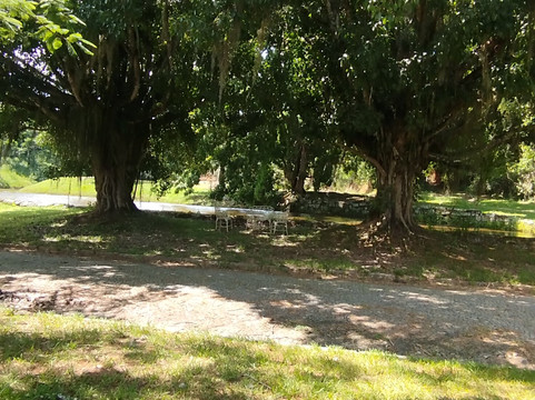 Fazenda Cachoeira Grande-Vassouras必去景点