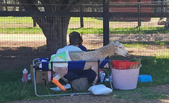 Edgar's Mission-Lancefield必去景点