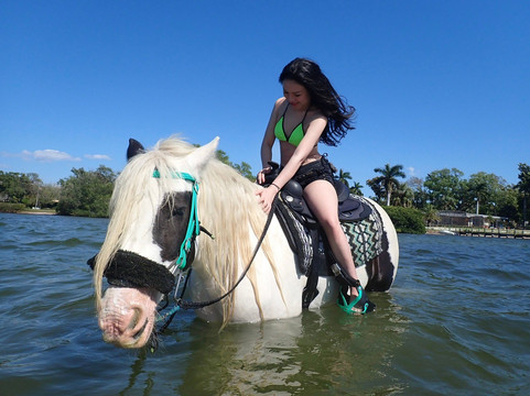 C Ponies Beach Horseback Rides-布雷登顿必去景点