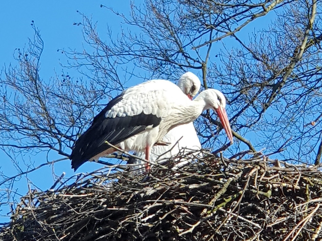 Heimat-Tierpark Olderdissen-比勒费尔德必去景点