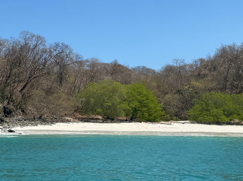 Life is Better at Sea-Playa Flamingo必去景点