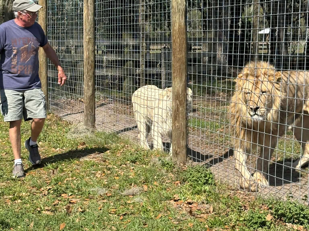 Carson Springs Wildlife Conservation Foundation-盖恩斯维尔必去景点