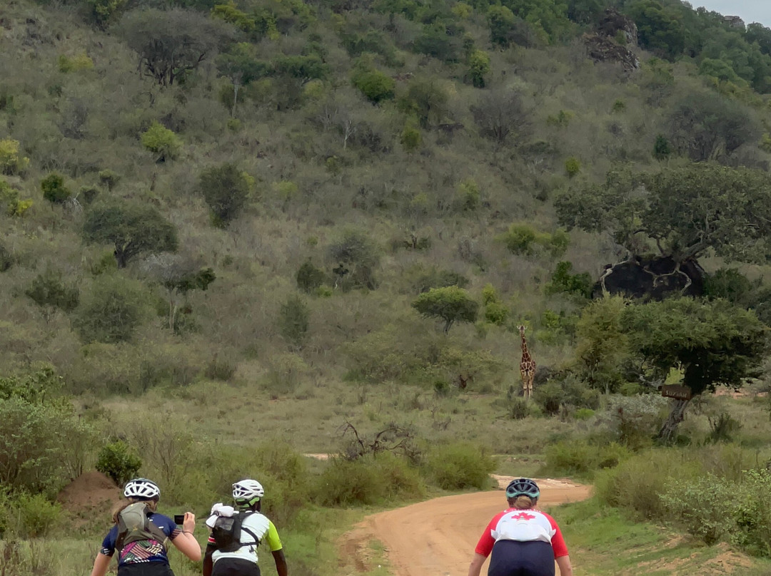 Baiskeli Adventures-内罗毕必去景点