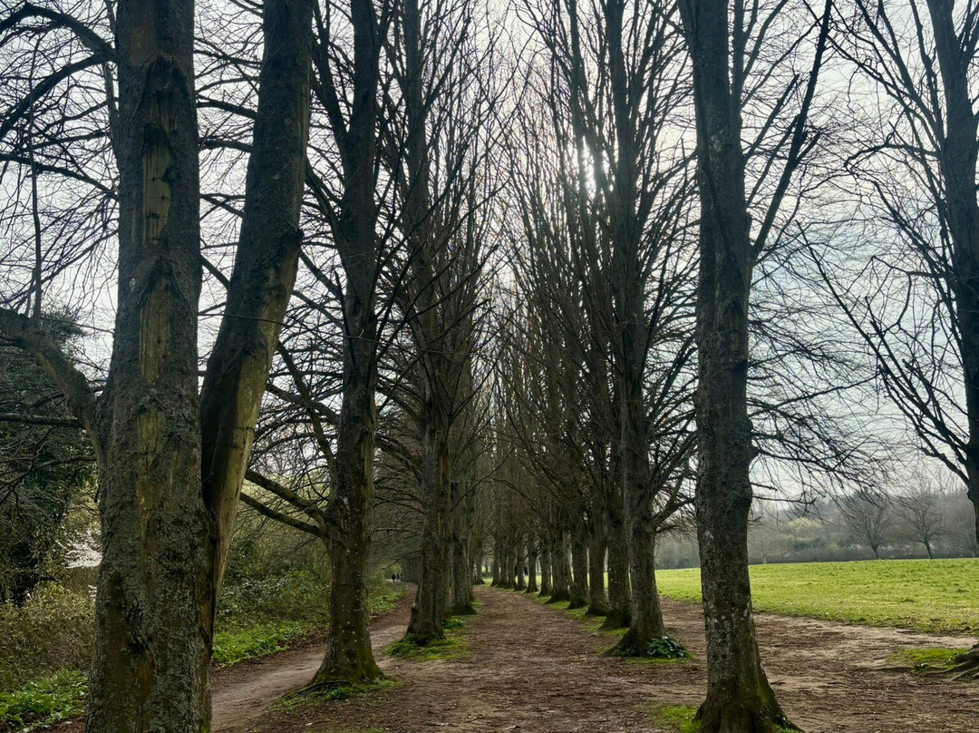 Coate Water Country Park-斯温顿必去景点