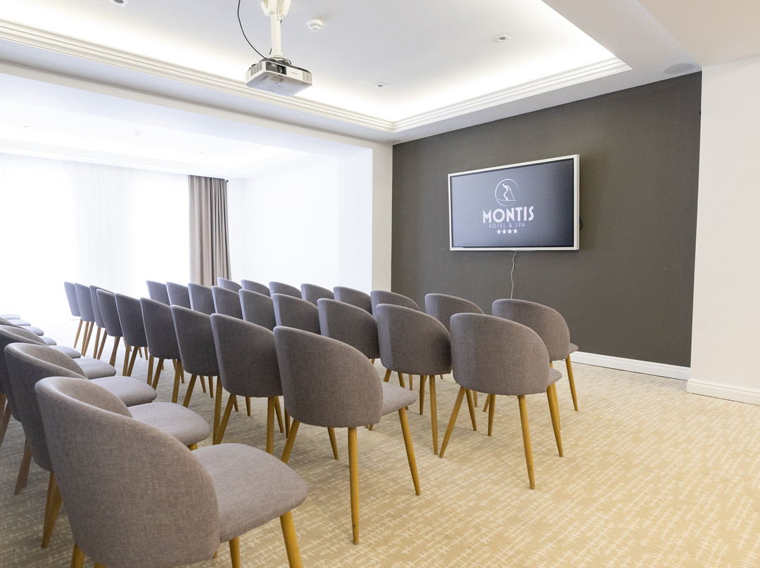 Montis Hotel & Spa主图