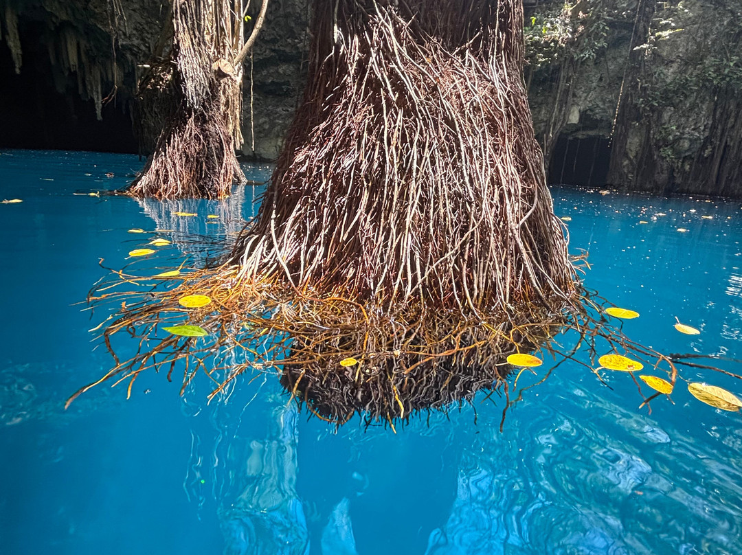 Experiencia Privada en Cenote Exclusivo-巴利亚多利德必去景点