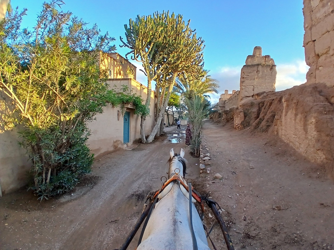 Taroudant Caleche Carriage Tours-塔鲁丹特必去景点