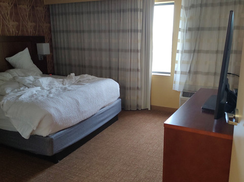 印第安纳波利斯诺伯斯维尔万怡酒店主图