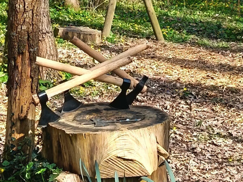 Wilderfox-Chudleigh必去景点