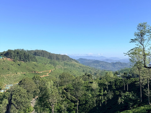 Suriya Lanka Travels-尼甘布必去景点