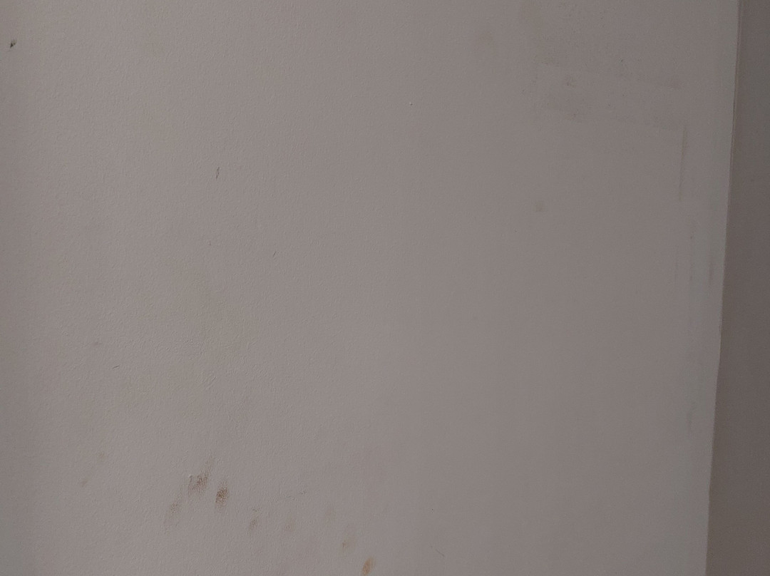 普瑞米尔沃灵顿中心酒店主图