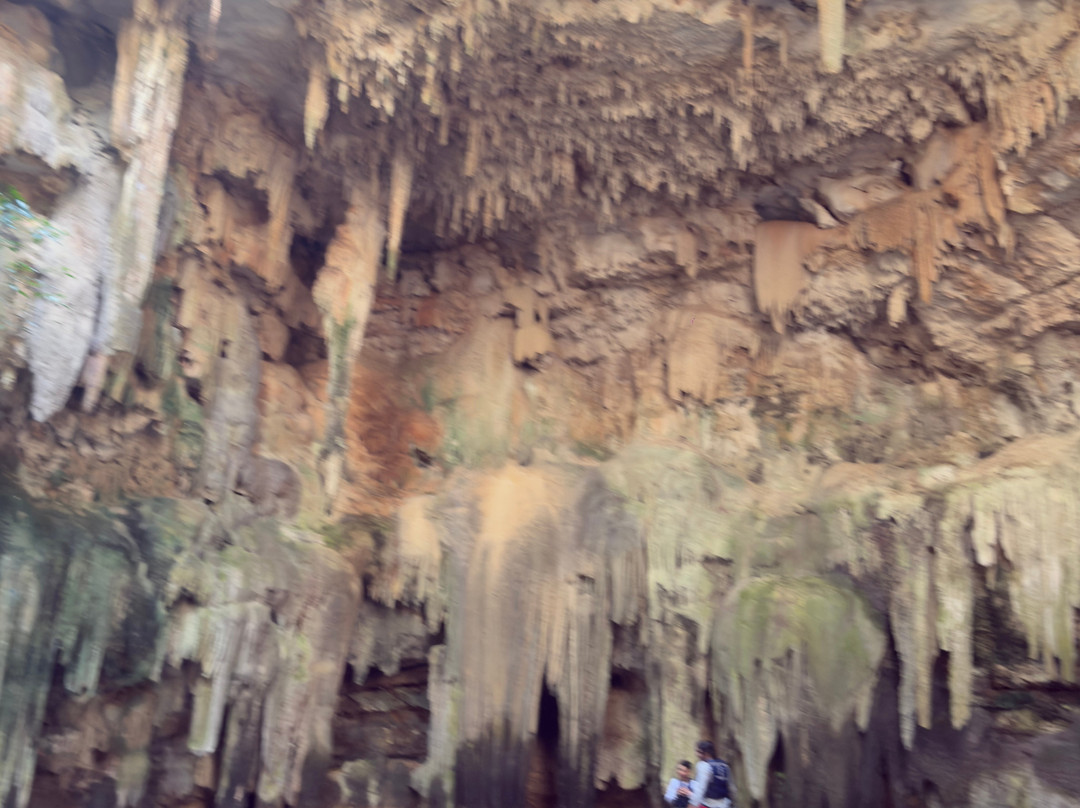 Tsukán Santuario de Vida-Piste必去景点