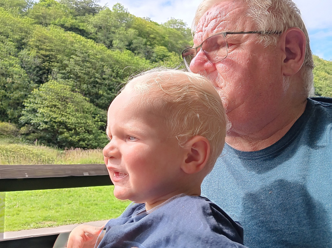 Saltburn Miniature Railway Ltd-Saltburn-by-the-Sea必去景点