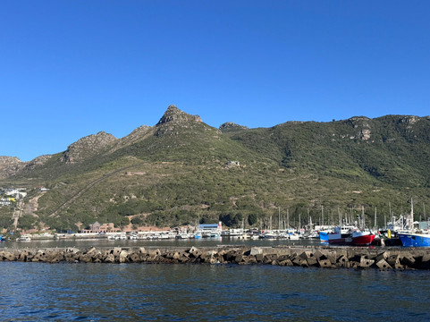 Seal Island-西开普必去景点