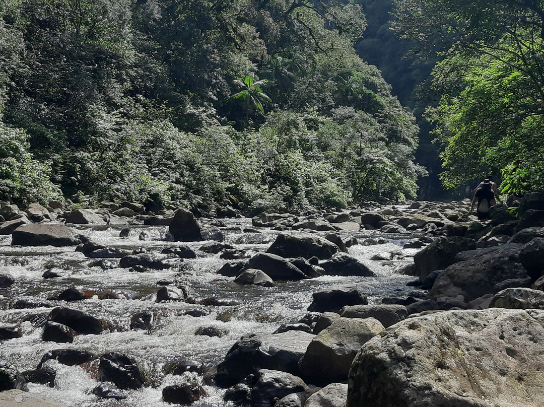 Trilha Do Rio Do Boi-Praia Grande必去景点