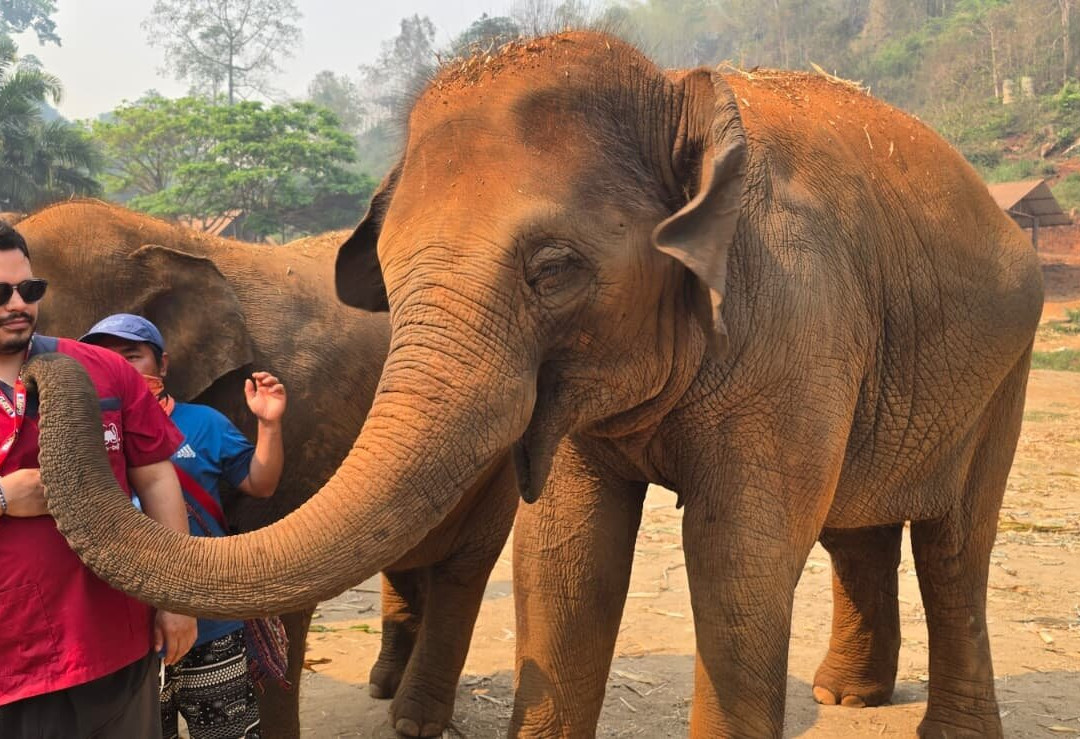 Elephant Sanctuary Care Park-清迈必去景点