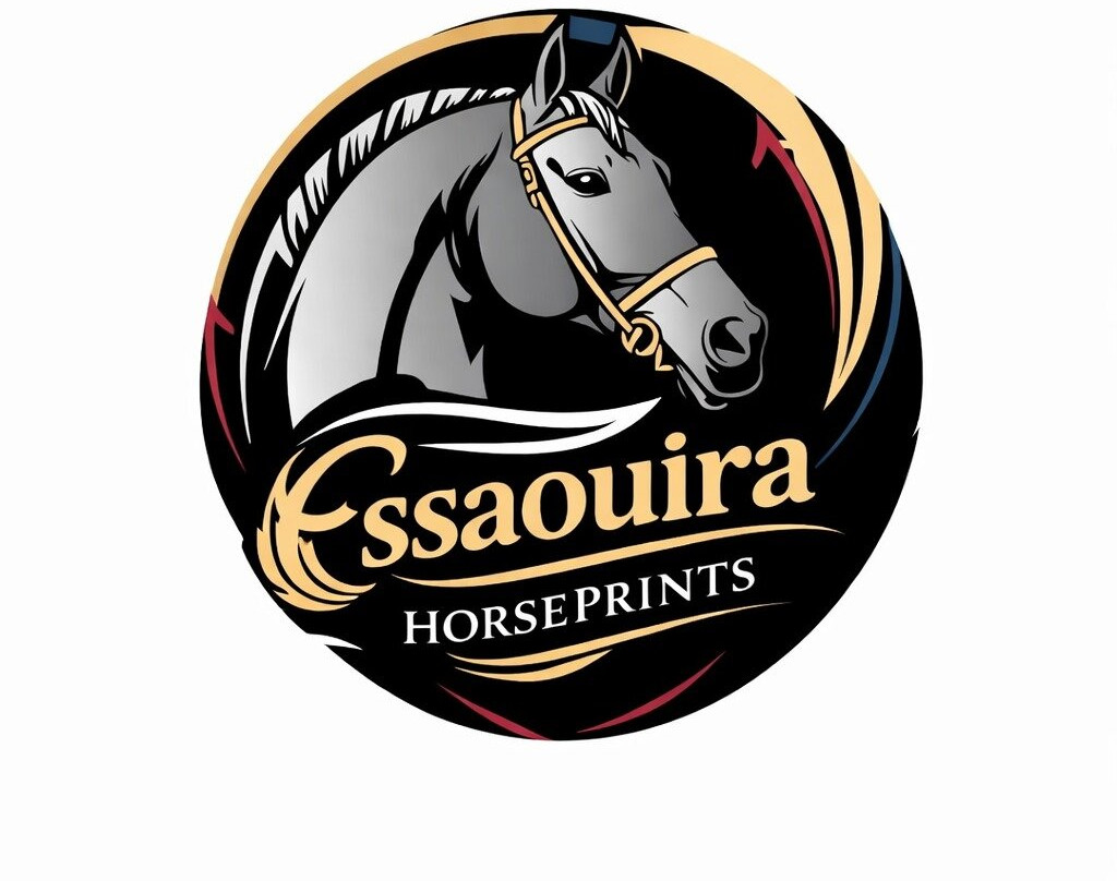 Essaouira Horseprints