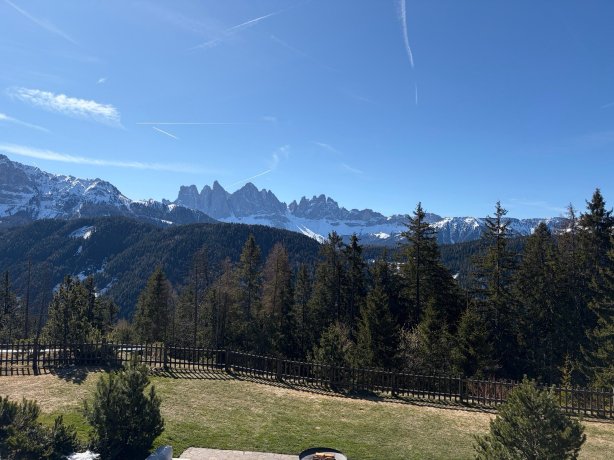 福雷斯蒂斯酒店Forestis Dolomites（意大利）-官方