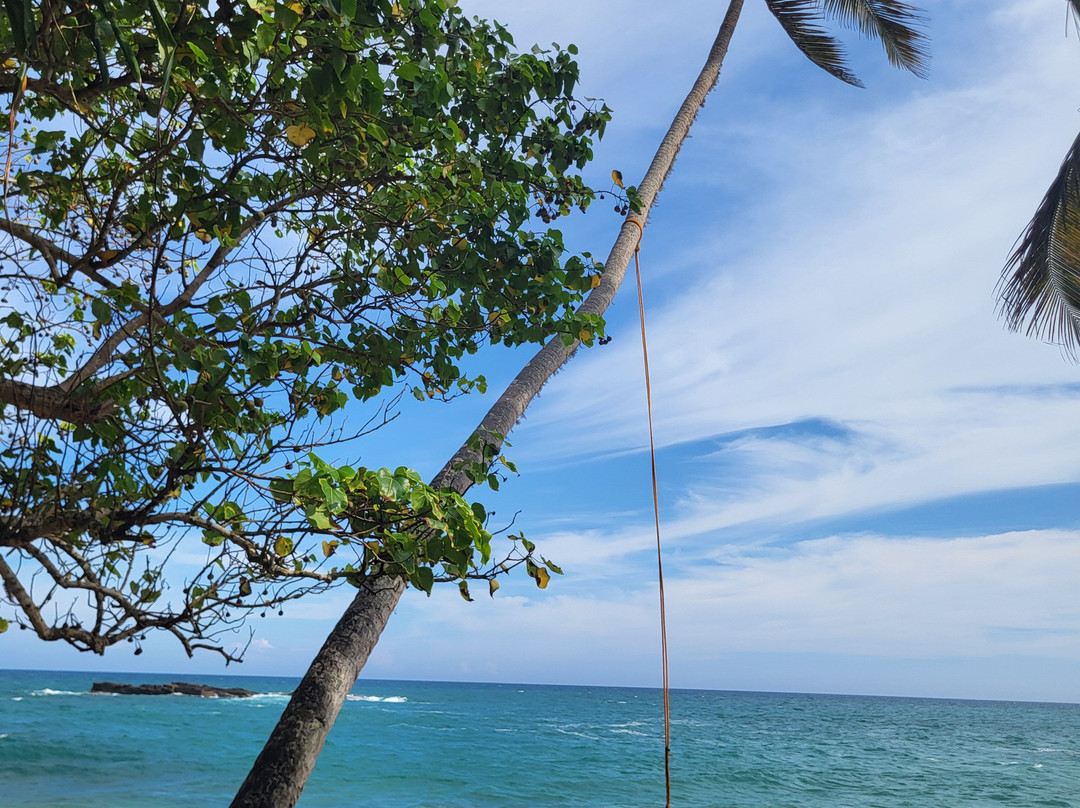 Prem Tours Sri Lanka-尼甘布必去景点