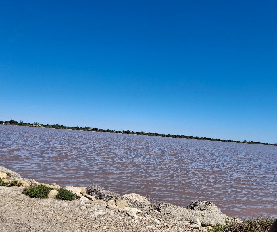 Salin d'Aigues-Mortes-艾格莫尔特必去景点