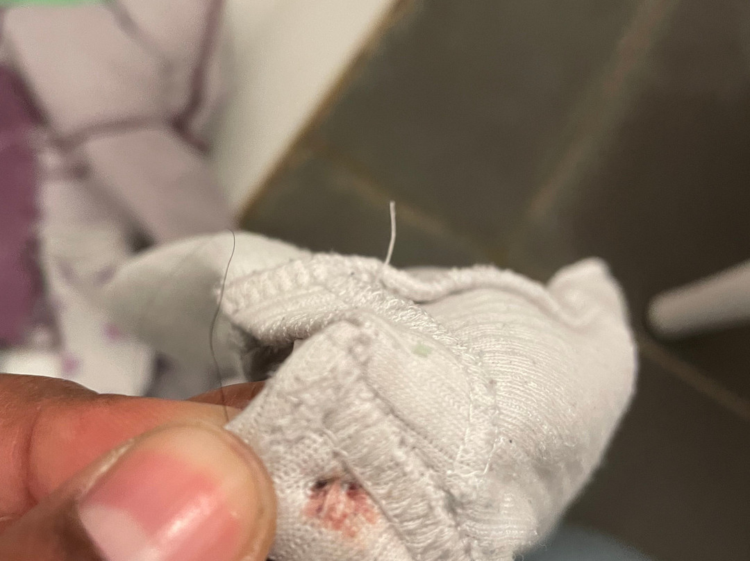 阿姆斯特丹机场贝斯特韦斯特优质酒店主图