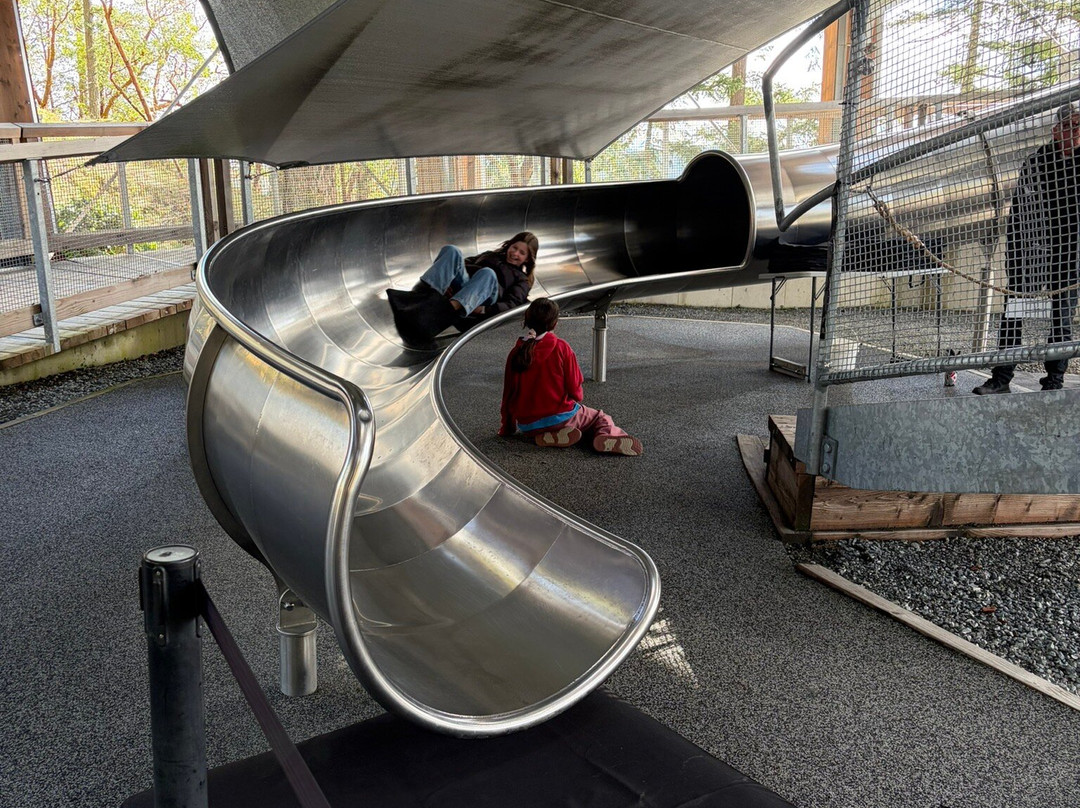 Malahat Skywalk-Malahat必去景点