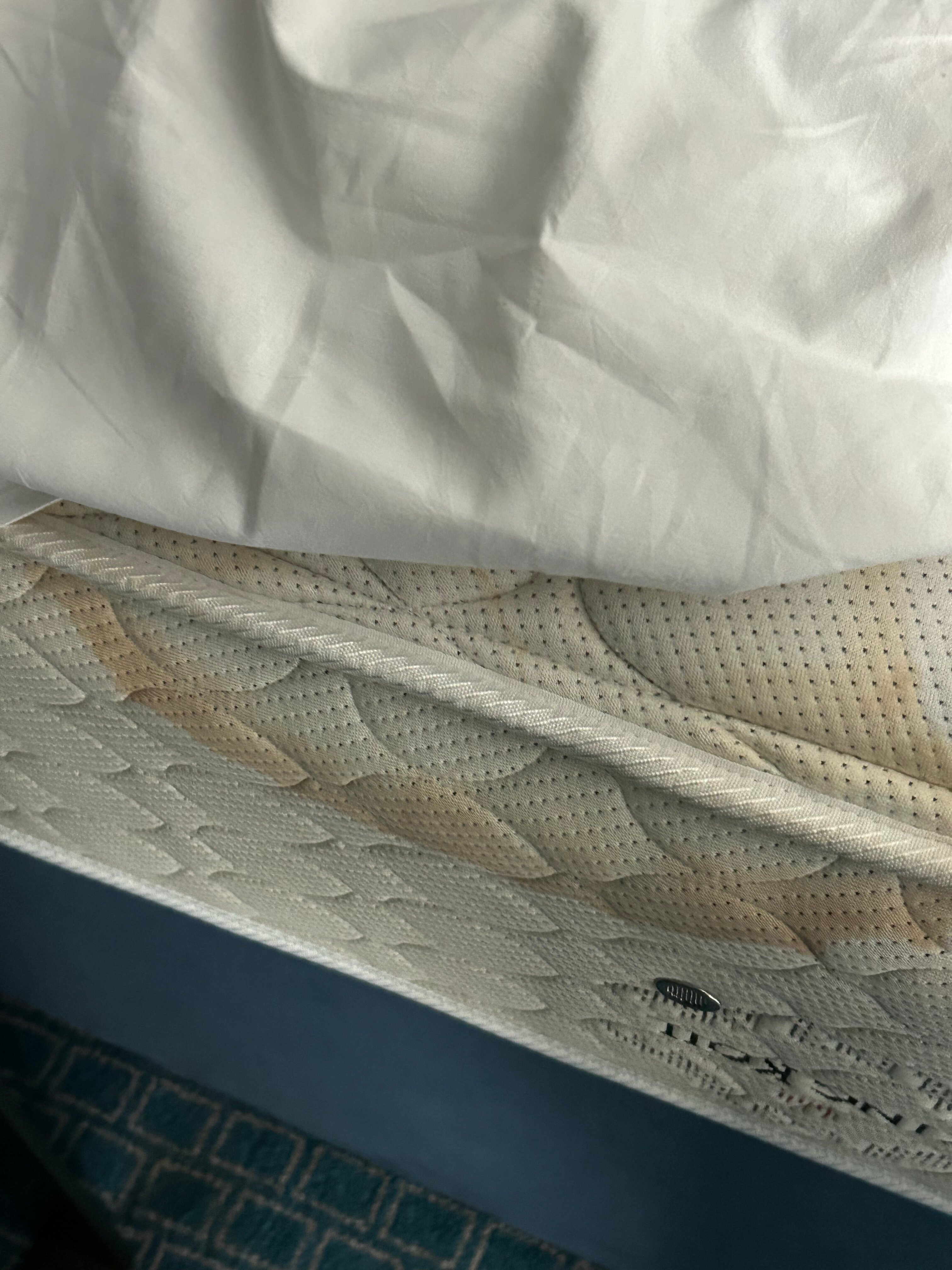 剑桥克莱顿酒店-官方