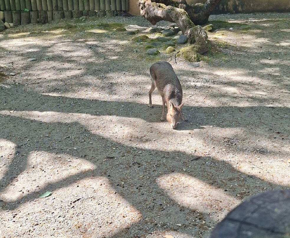 Parco Faunistico Le Cornelle-Valbrembo必去景点