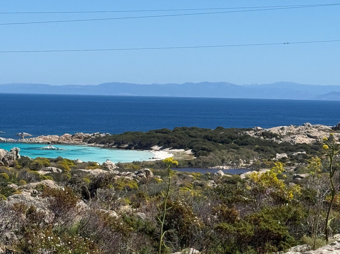 Futurismo - Escursioni Asinara-斯廷蒂诺必去景点