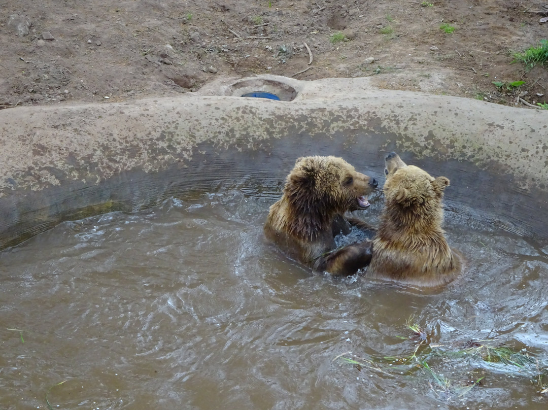 Wildwood Devon-Ottery St. Mary必去景点