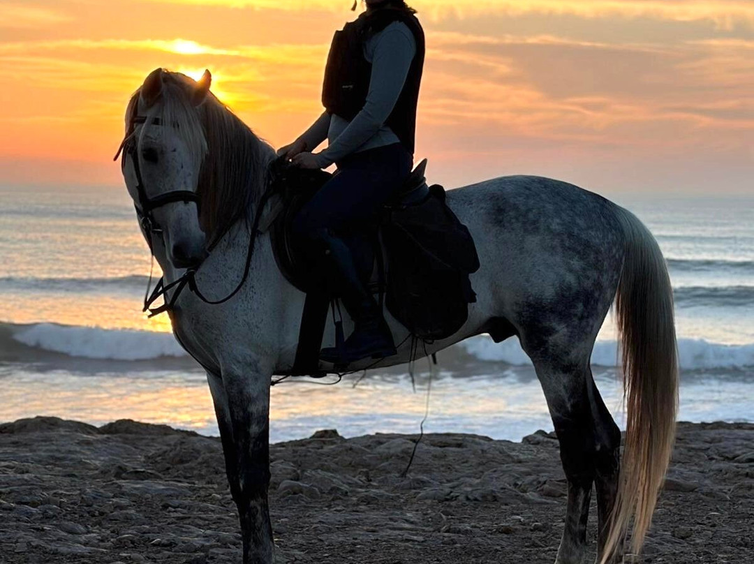 Essaouira Dreamers-索维拉必去景点