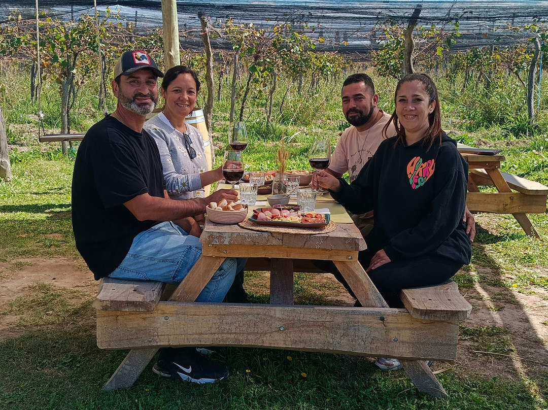Bodega Terra Lombarda-圣拉斐尔必去景点