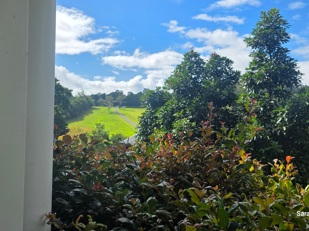 比奇蒙特庄园主图