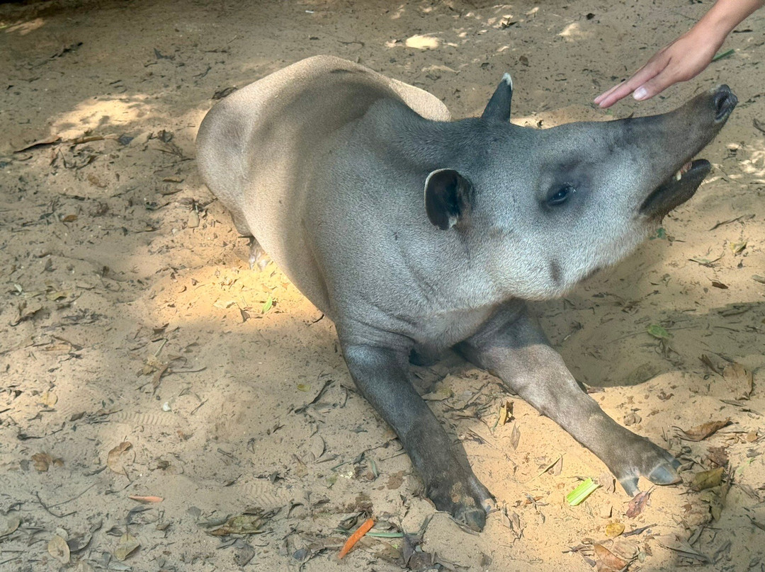珍珠王国野生动物园-富国岛必去景点