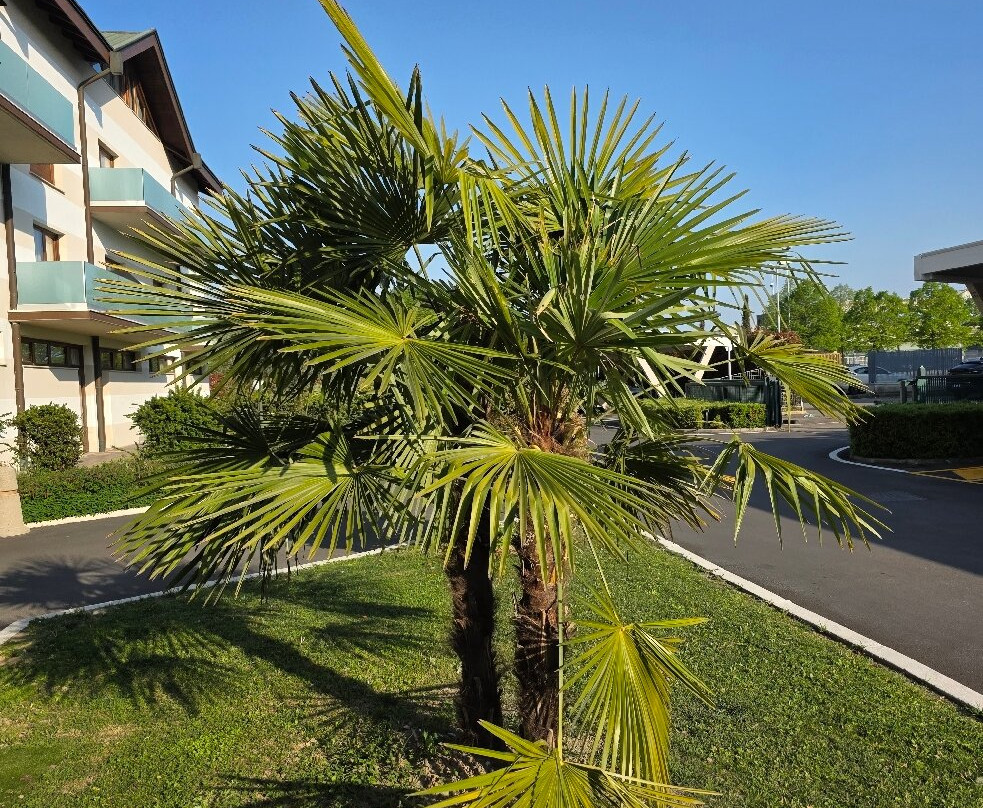 摩德纳区贝斯特韦斯特酒店主图