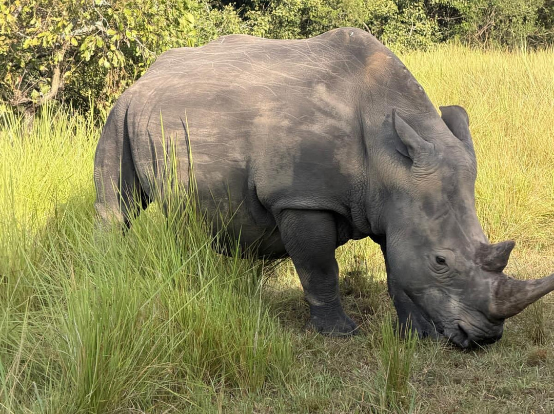 Uzuri Uganda Safaris-坎帕拉必去景点