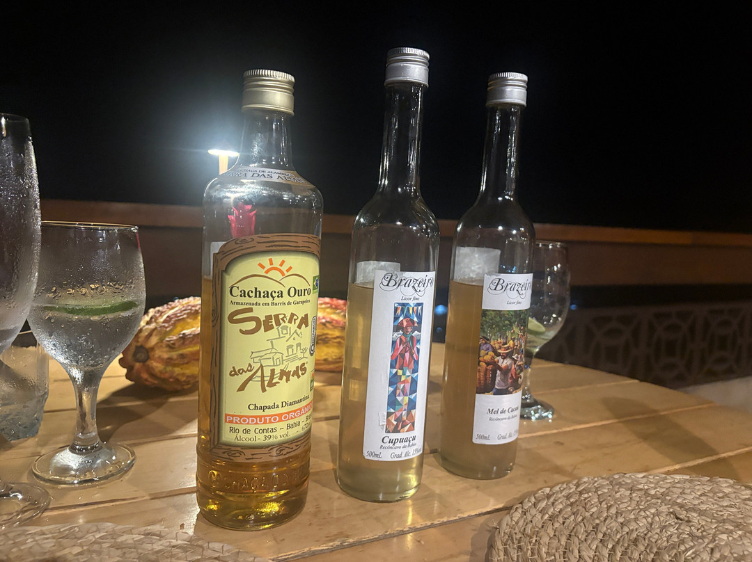 巧克力酒店