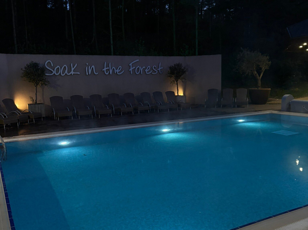 Aqua Sana Forest Spa-彭里斯必去景点