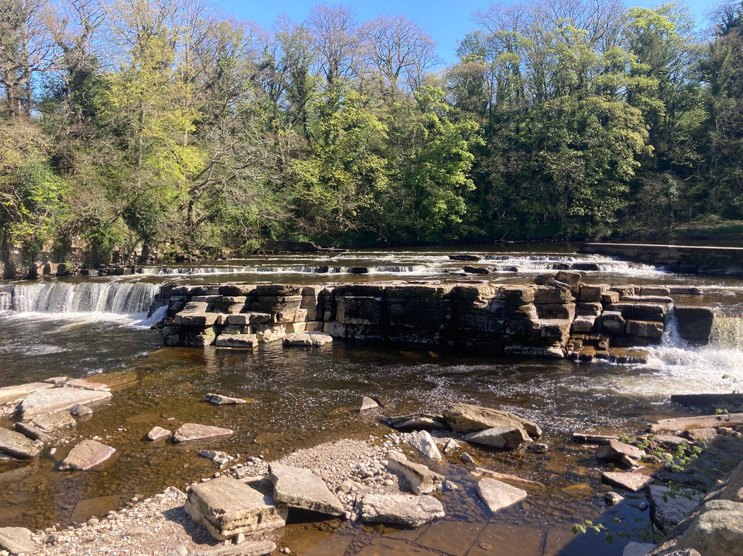 Richmond Falls-里士满必去景点