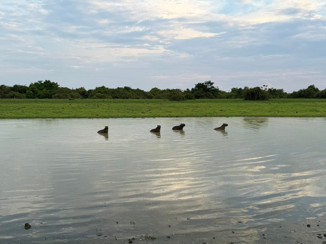 El Encanto de Guanapalo Reserva Natural-San Luis de Palenque必去景点