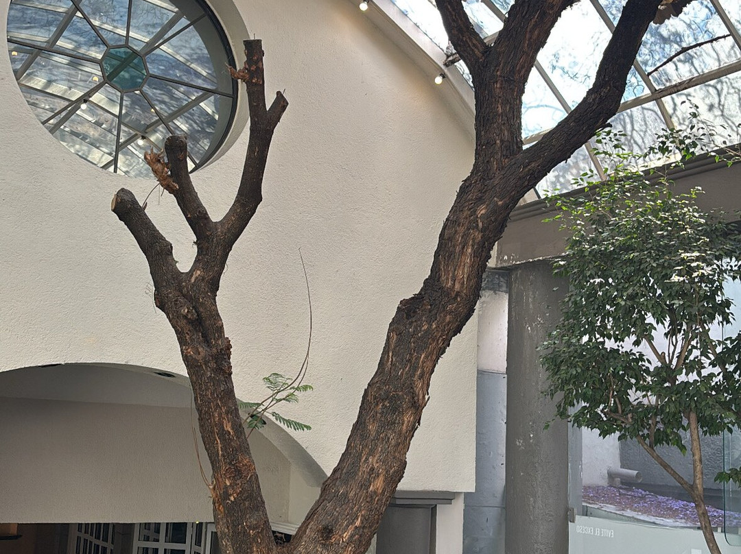 玛丽亚·巴巴拉克里斯托卫星酒店主图