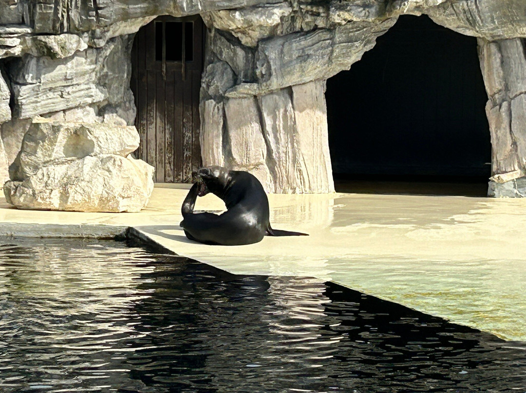 Seaquarium Institut Marin-勒格罗迪鲁瓦必去景点