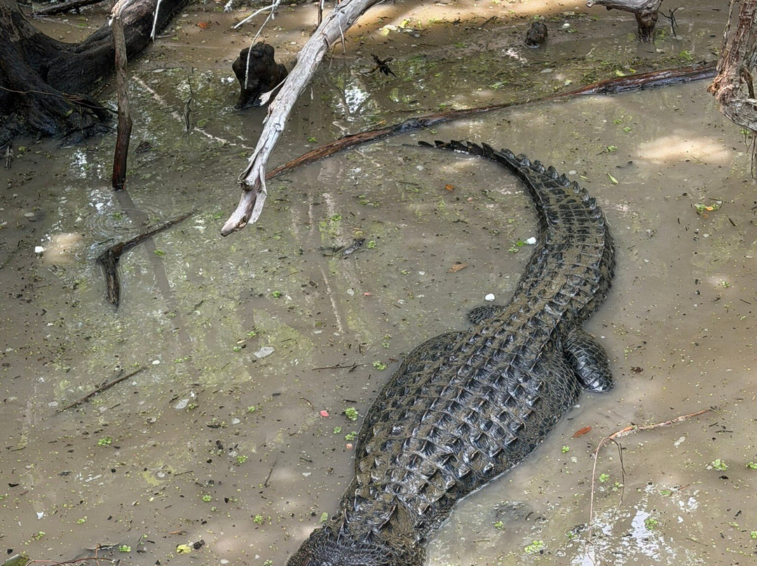 Cajun Pride Swamp Tours-LaPlace必去景点