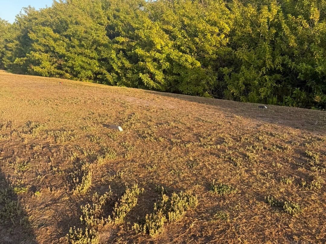 Oyster Creek Golf Course-恩格尔伍德必去景点