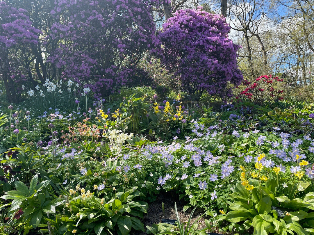 RHS Garden Harlow Carr-哈罗盖特必去景点