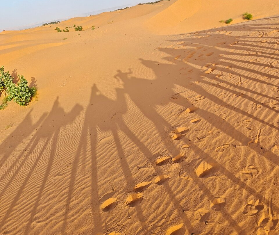 Erg Chebbi Dunes-梅克内斯-塔菲拉勒特区必去景点