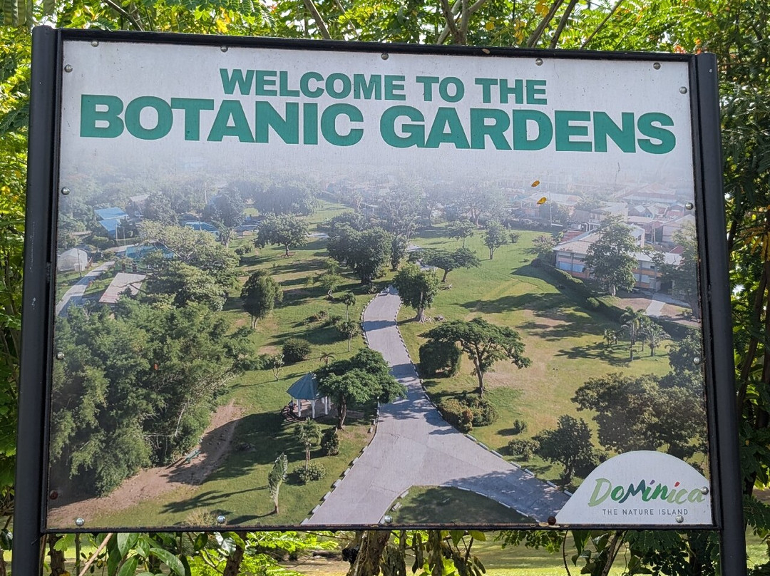 Dominica Botanic Gardens-罗索必去景点